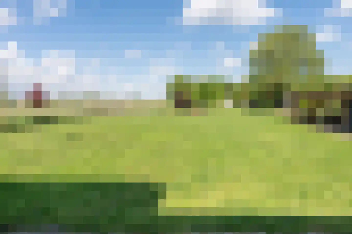 Koppelwijk OZ 4 Emmer-Compascuum thumbnail 34