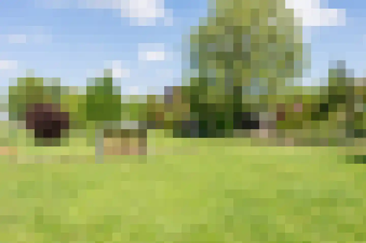 Koppelwijk OZ 4 Emmer-Compascuum thumbnail 35