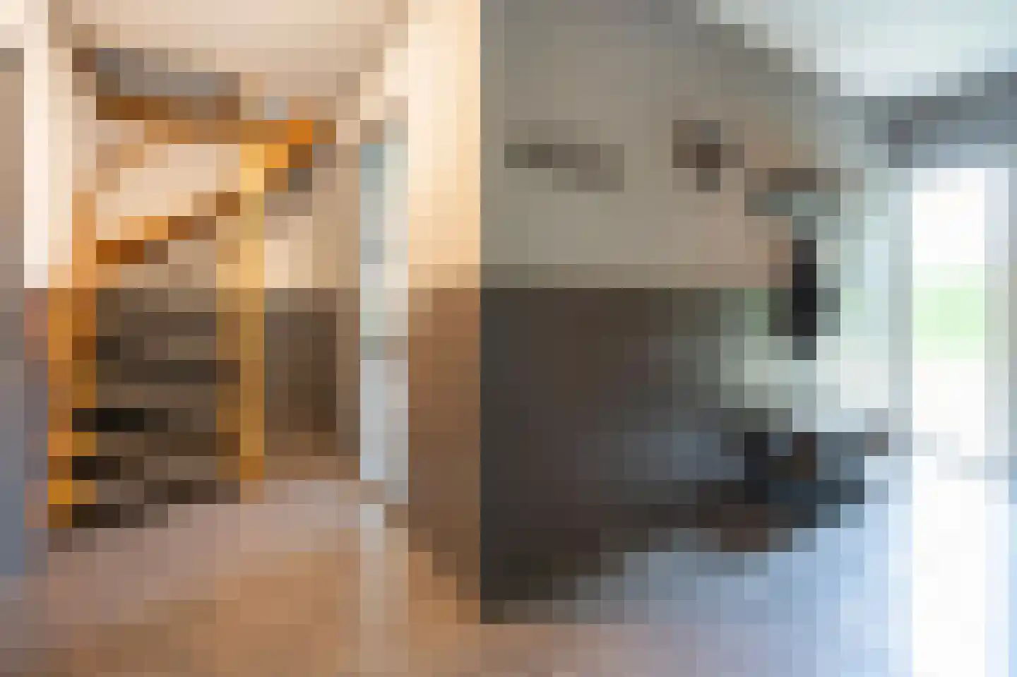 Koppelwijk OZ 4 Emmer-Compascuum thumbnail 4