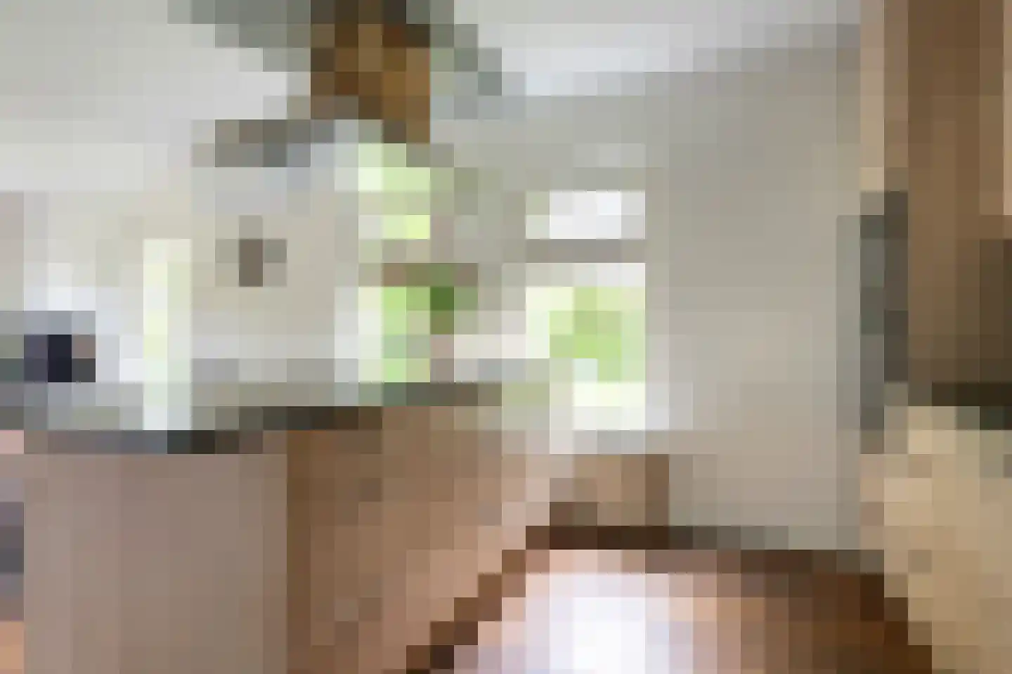 Koppelwijk OZ 4 Emmer-Compascuum thumbnail 6