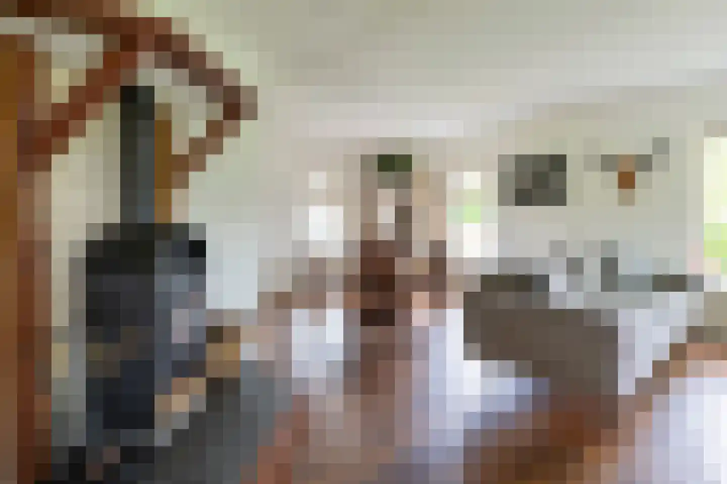 Koppelwijk OZ 4 Emmer-Compascuum thumbnail 8