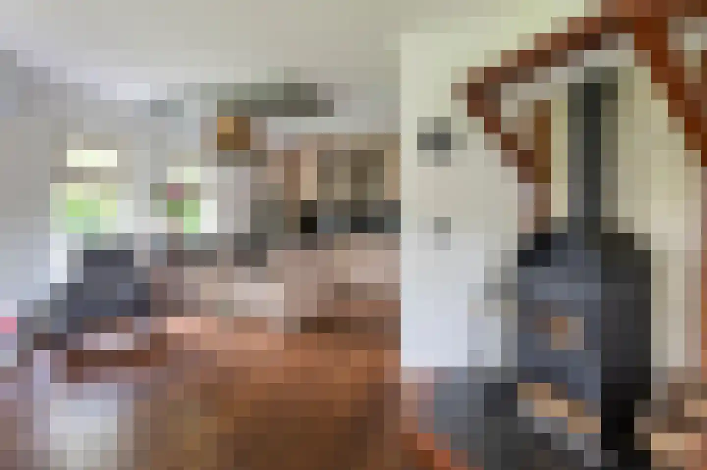 Koppelwijk OZ 4 Emmer-Compascuum thumbnail 8