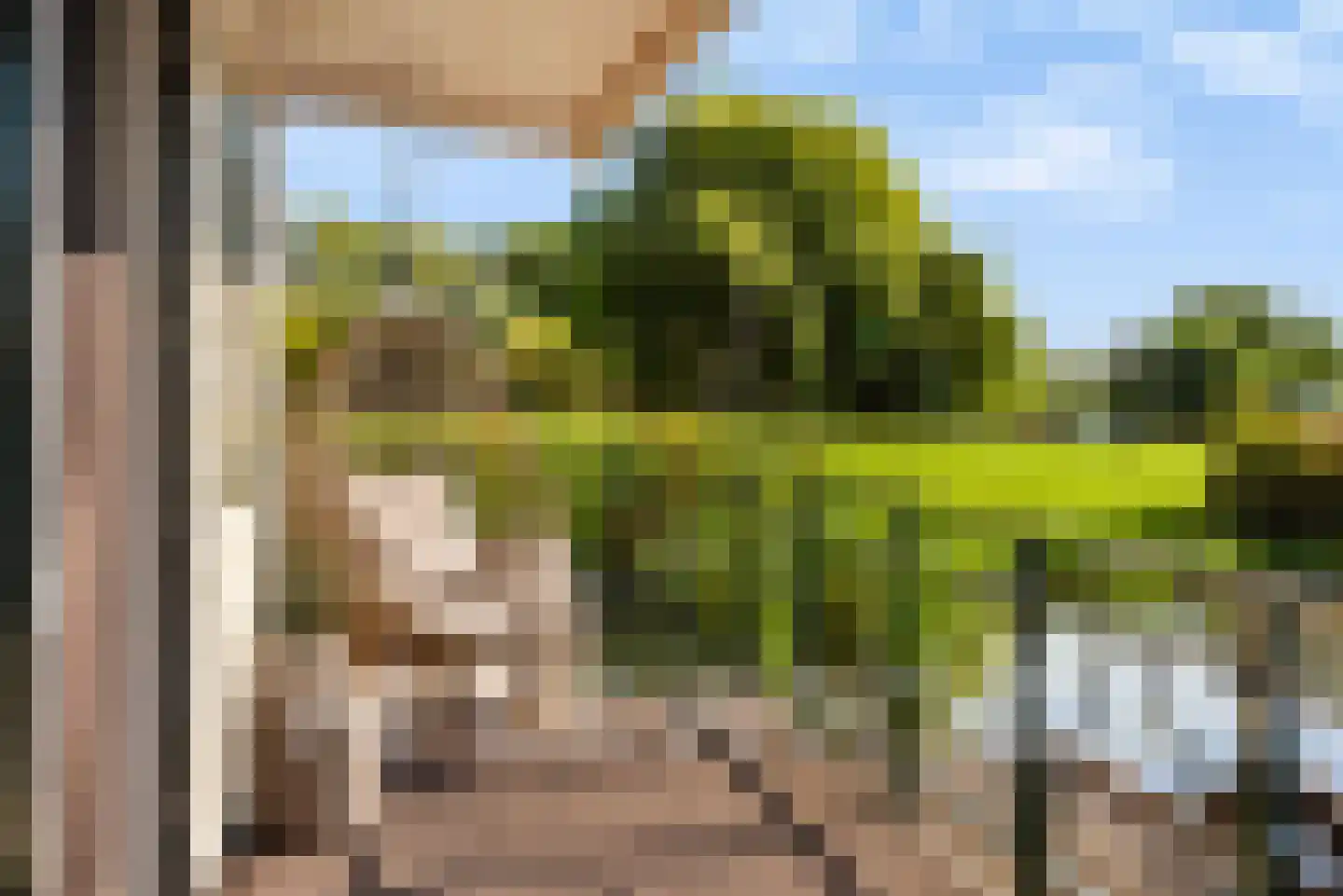 Koppenberch 14 Doesburg thumbnail 10