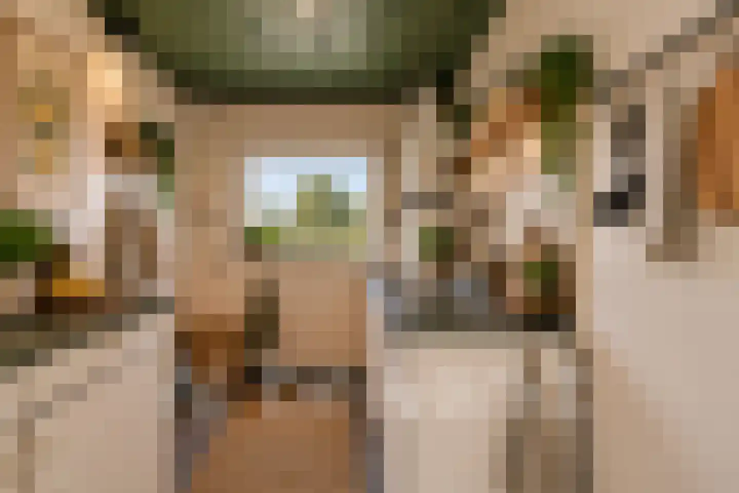 Koppenberch 14 Doesburg thumbnail 15