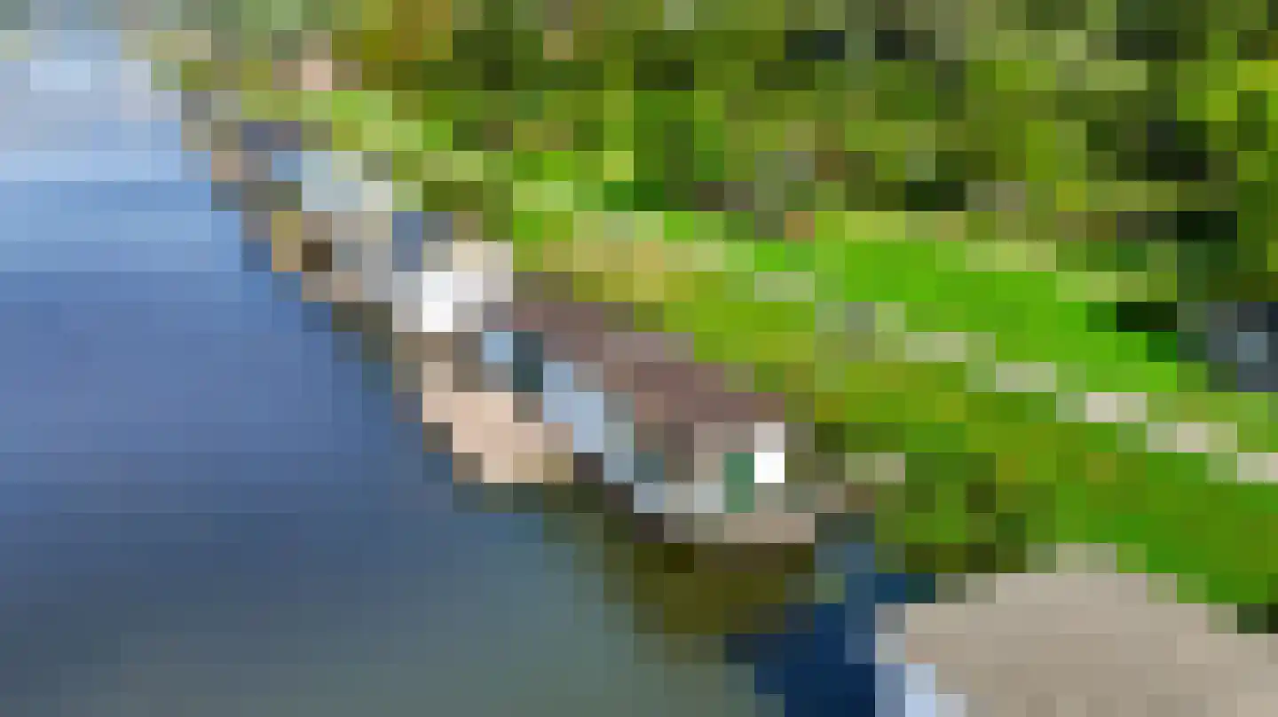 Koppenberch 14 Doesburg thumbnail 7