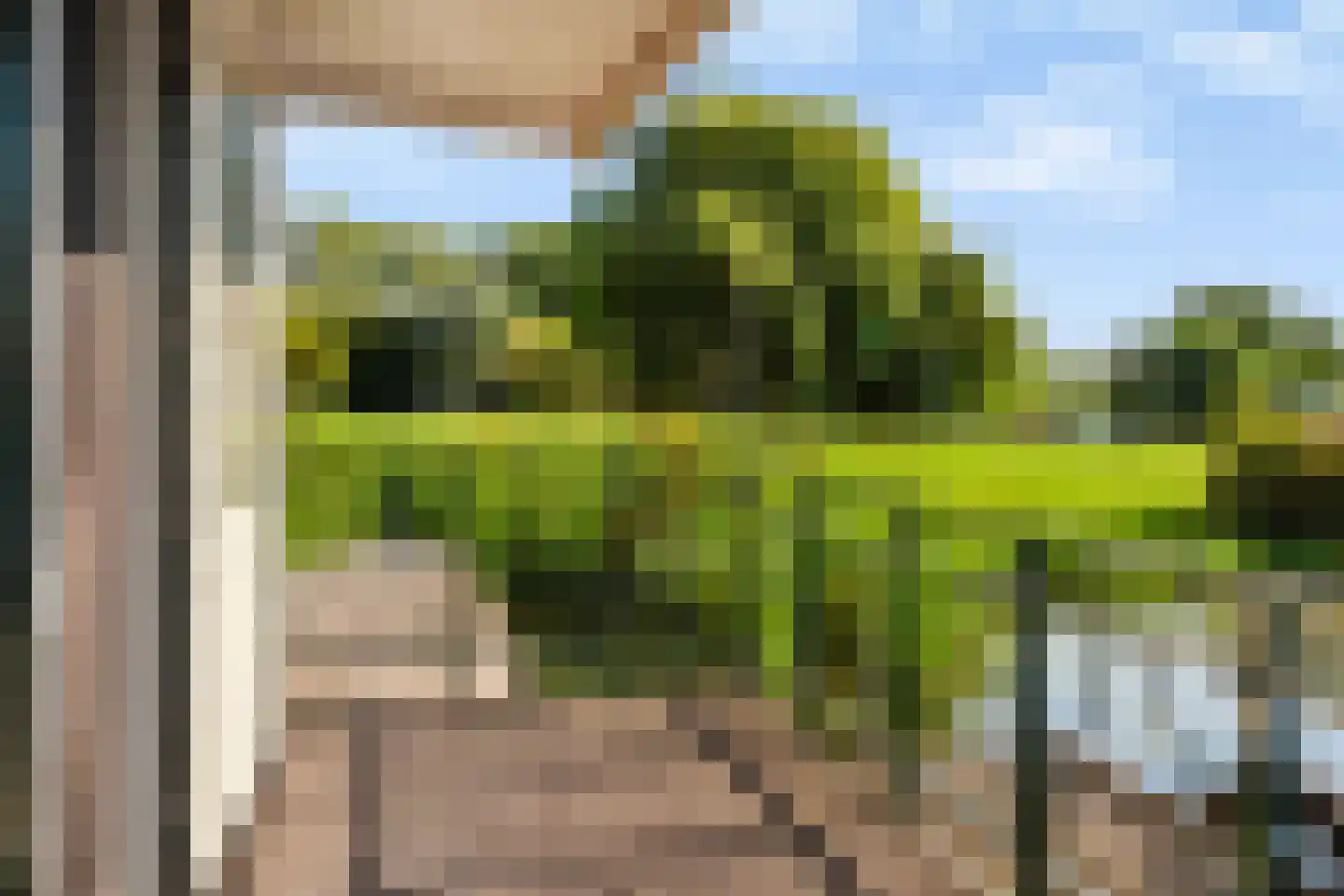 Koppenberch 14 Doesburg thumbnail 9