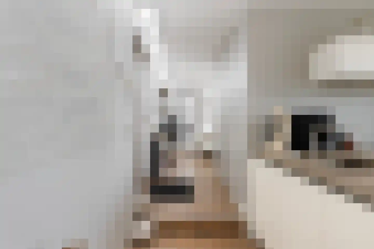 Koppenberch 4 Doesburg thumbnail 12