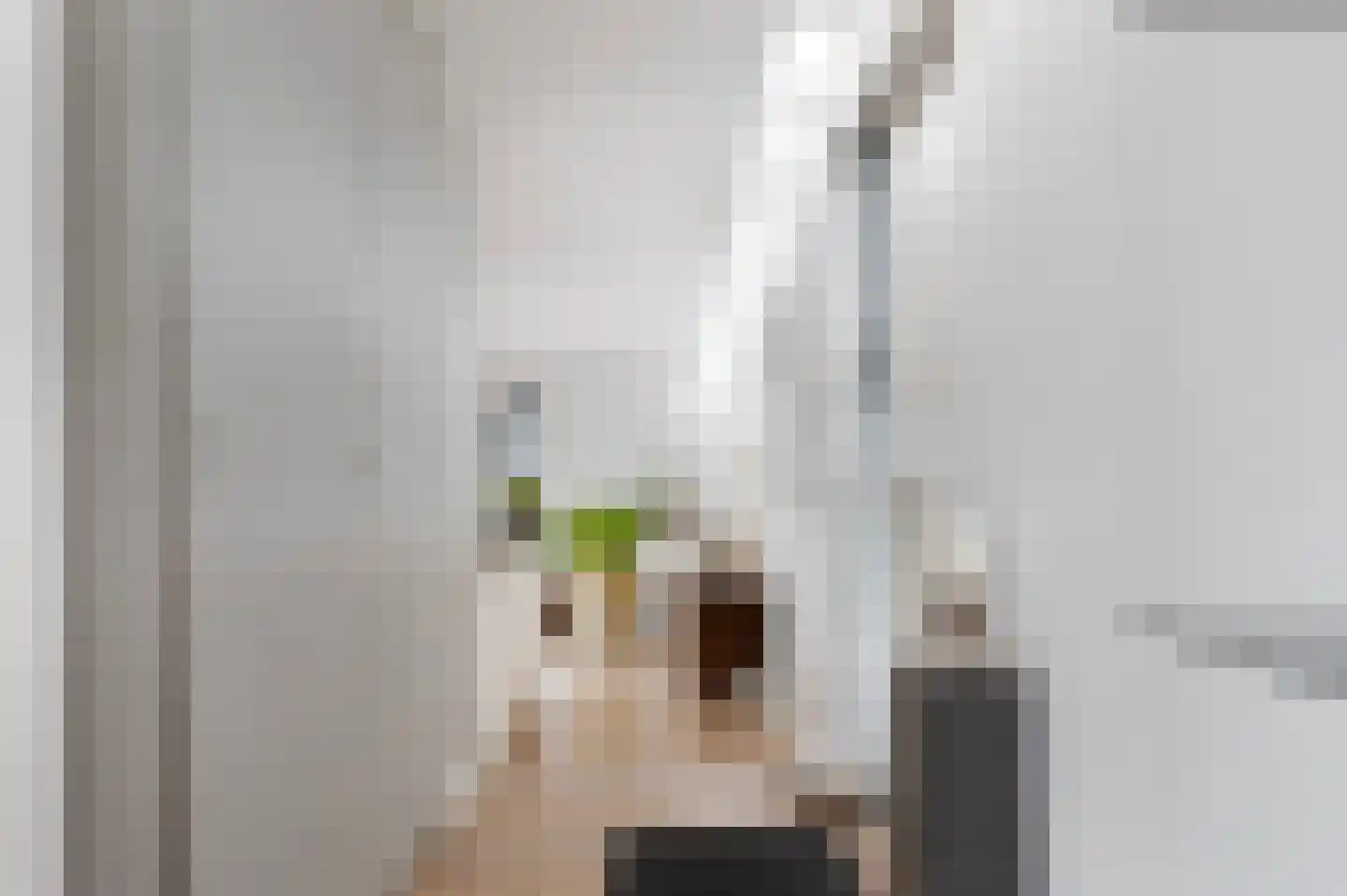 Koppenberch 4 Doesburg thumbnail 13