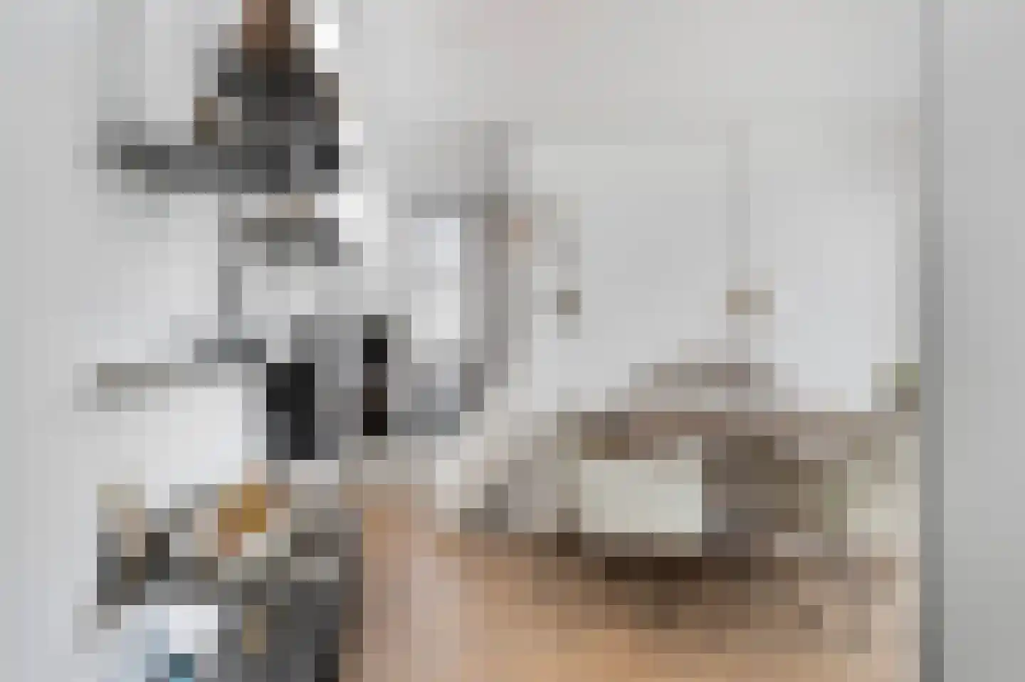 Koppenberch 4 Doesburg thumbnail 15