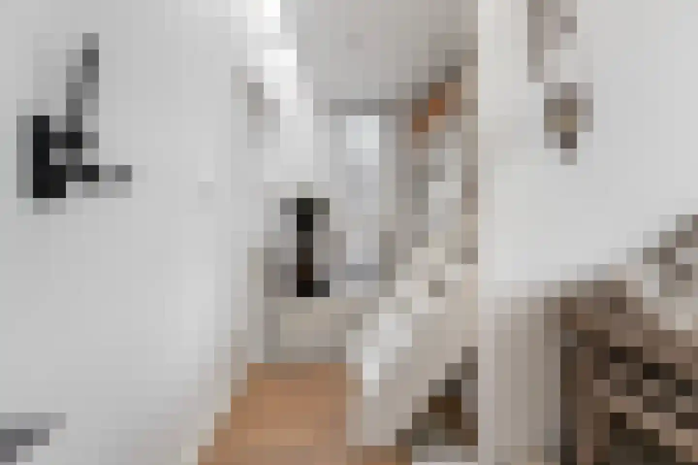 Koppenberch 4 Doesburg thumbnail 20