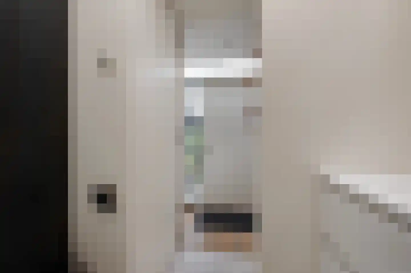 Koppenberch 4 Doesburg thumbnail 25