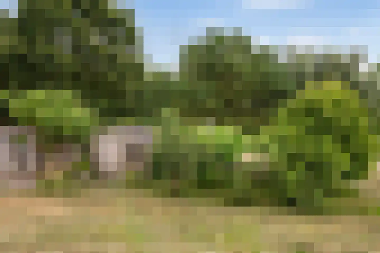 Koppenberch 4 Doesburg thumbnail 26