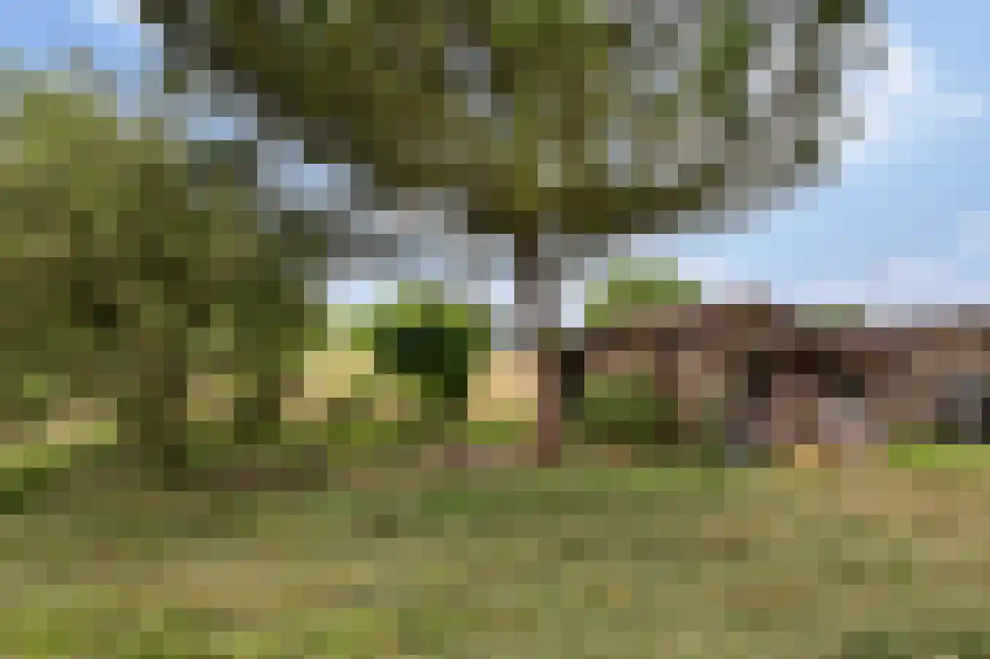 Koppenberch 4 Doesburg thumbnail 27