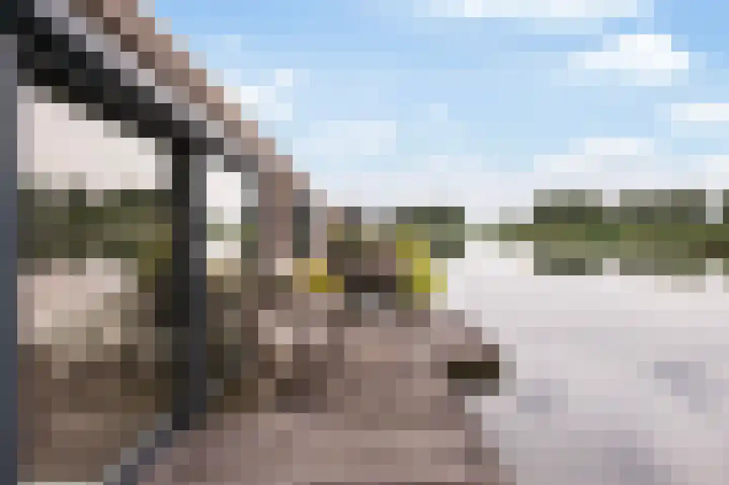 Koppenberch 4 Doesburg thumbnail 32
