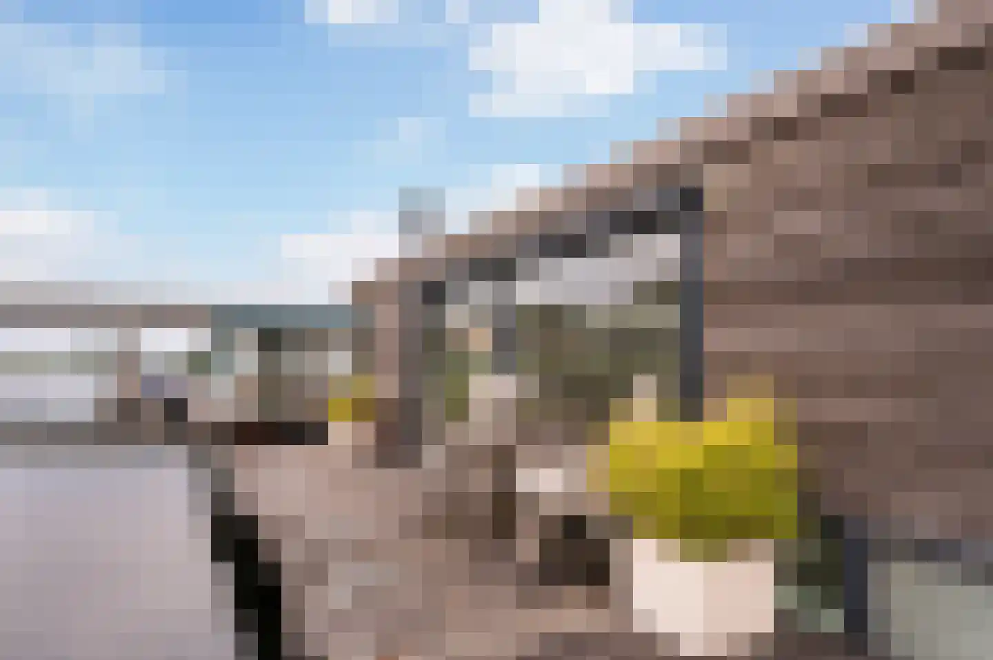 Koppenberch 4 Doesburg thumbnail 33