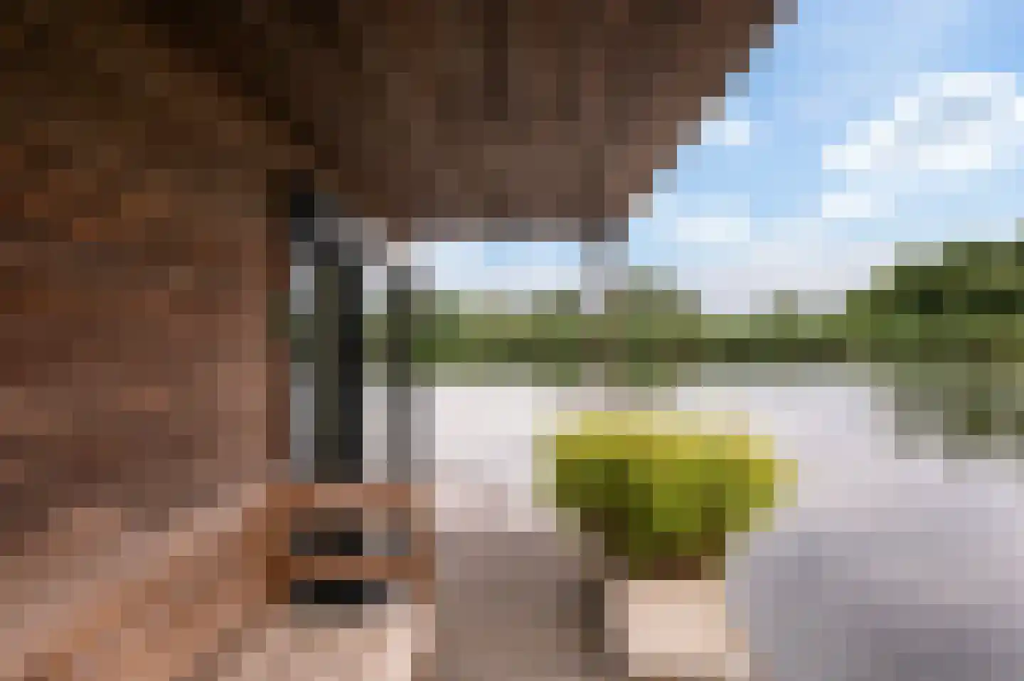Koppenberch 4 Doesburg thumbnail 34