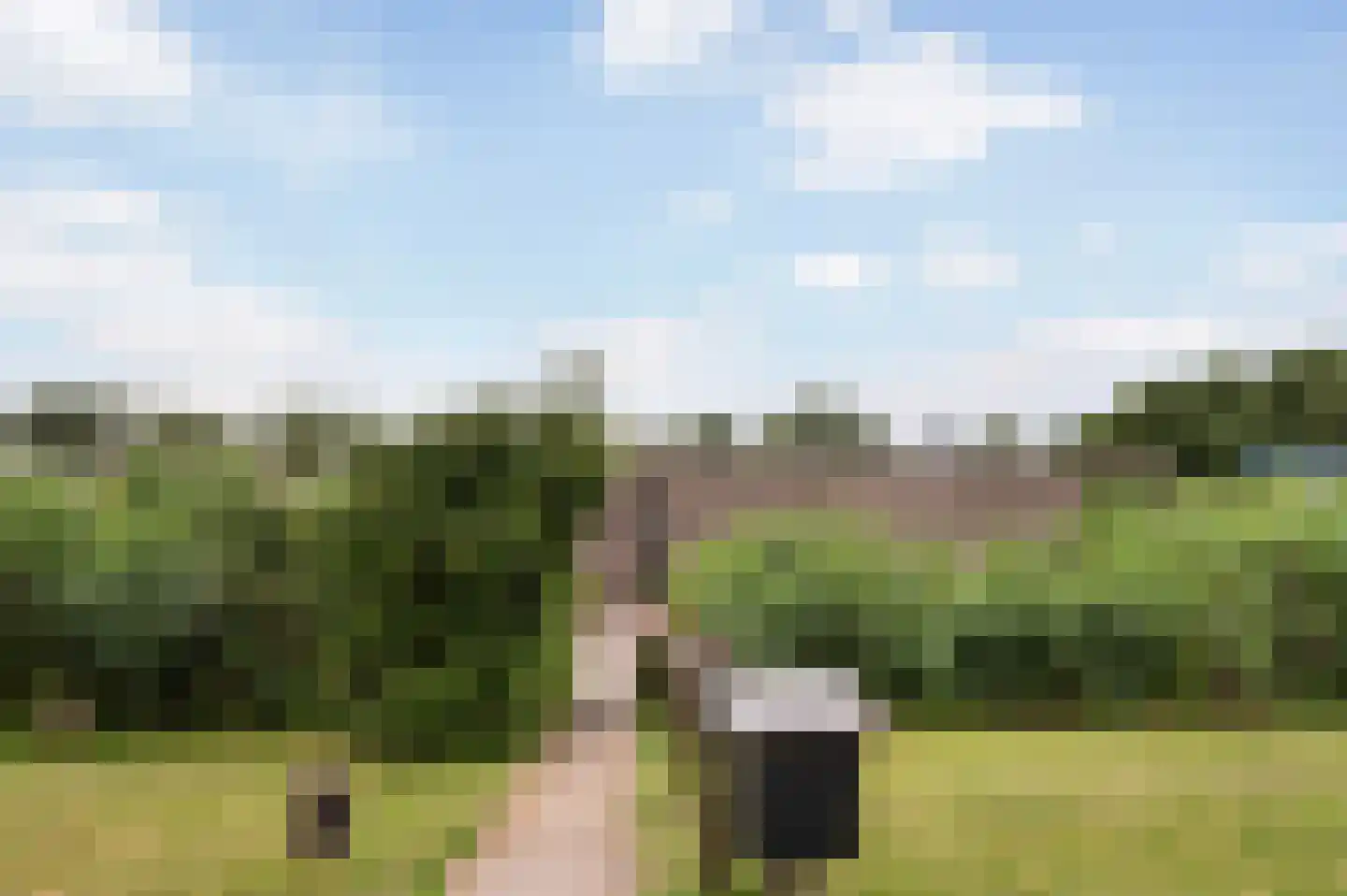 Koppenberch 4 Doesburg thumbnail 39