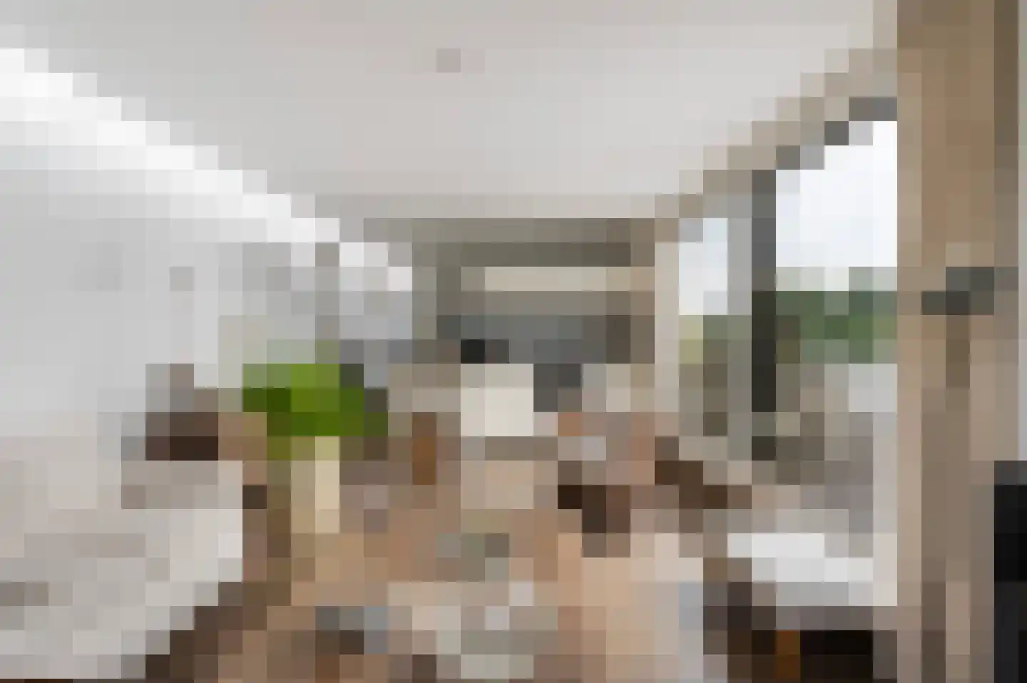 Koppenberch 4 Doesburg thumbnail 5