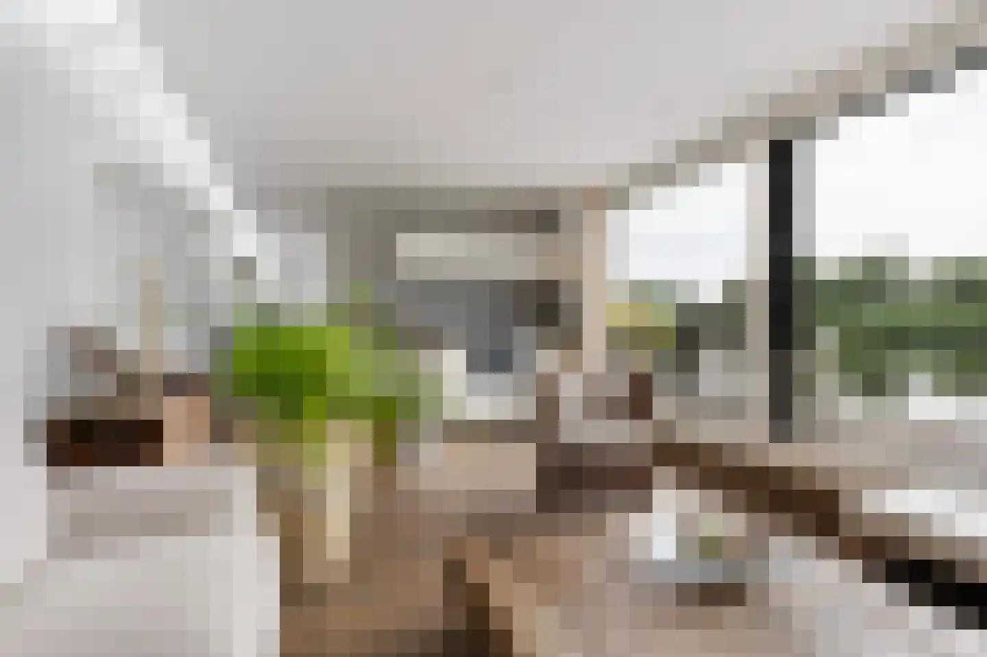 Koppenberch 4 Doesburg thumbnail 7