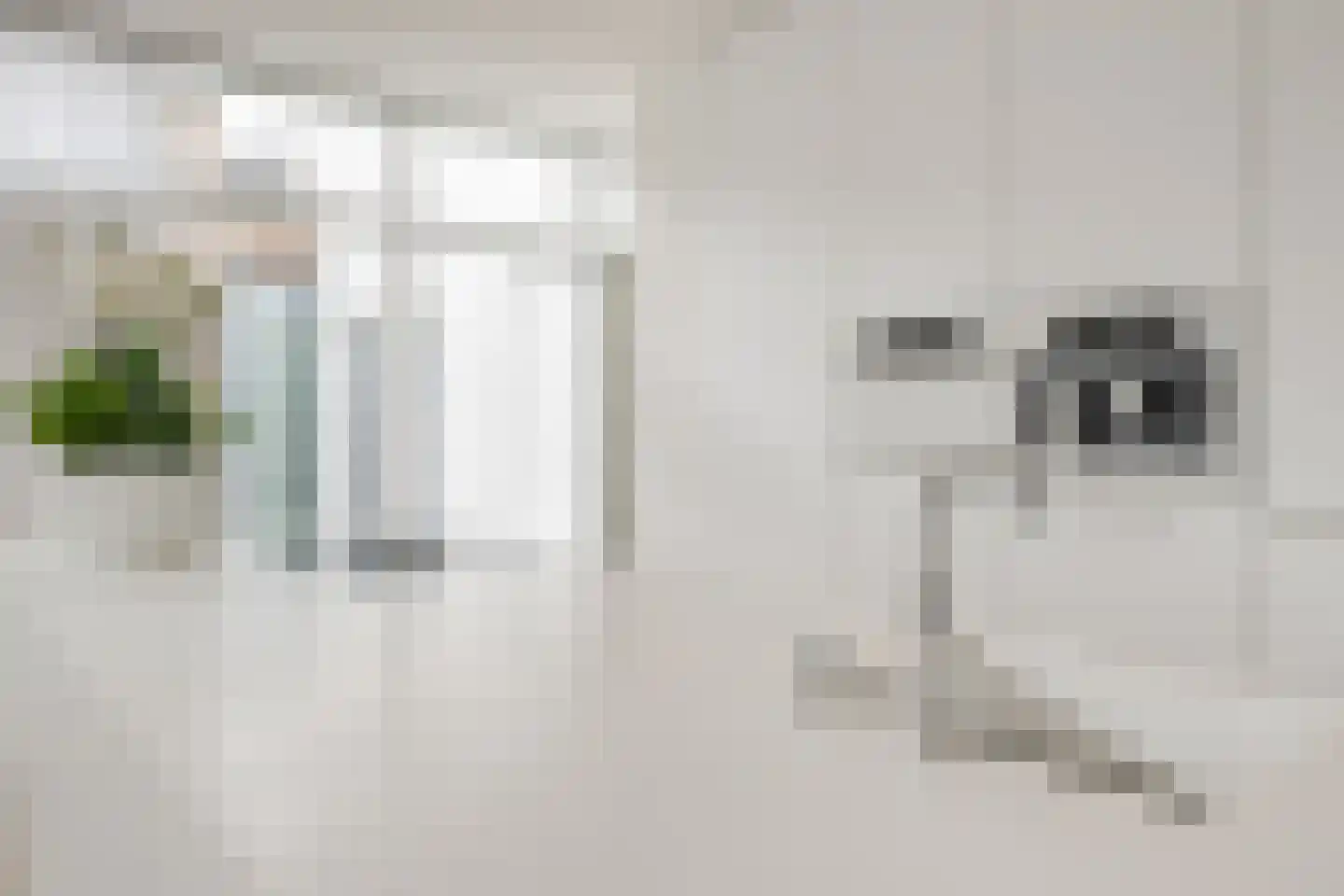 Koppenhoek 22 Eersel thumbnail 19