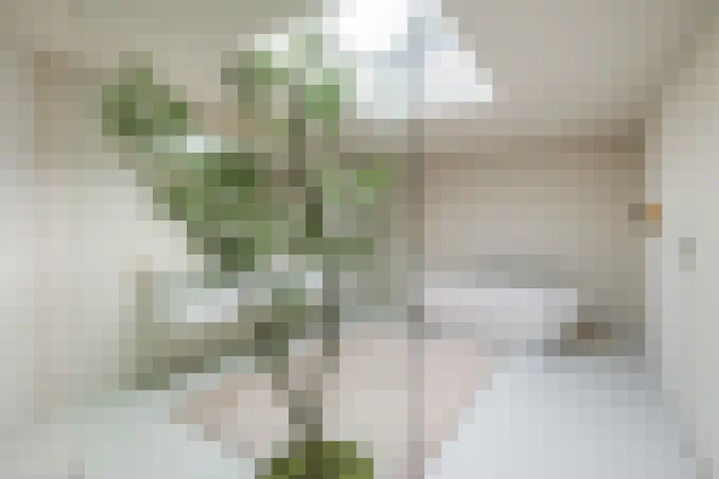 Koppenhoek 22 Eersel thumbnail 23
