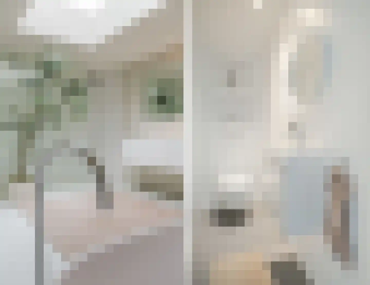 Koppenhoek 22 Eersel thumbnail 24