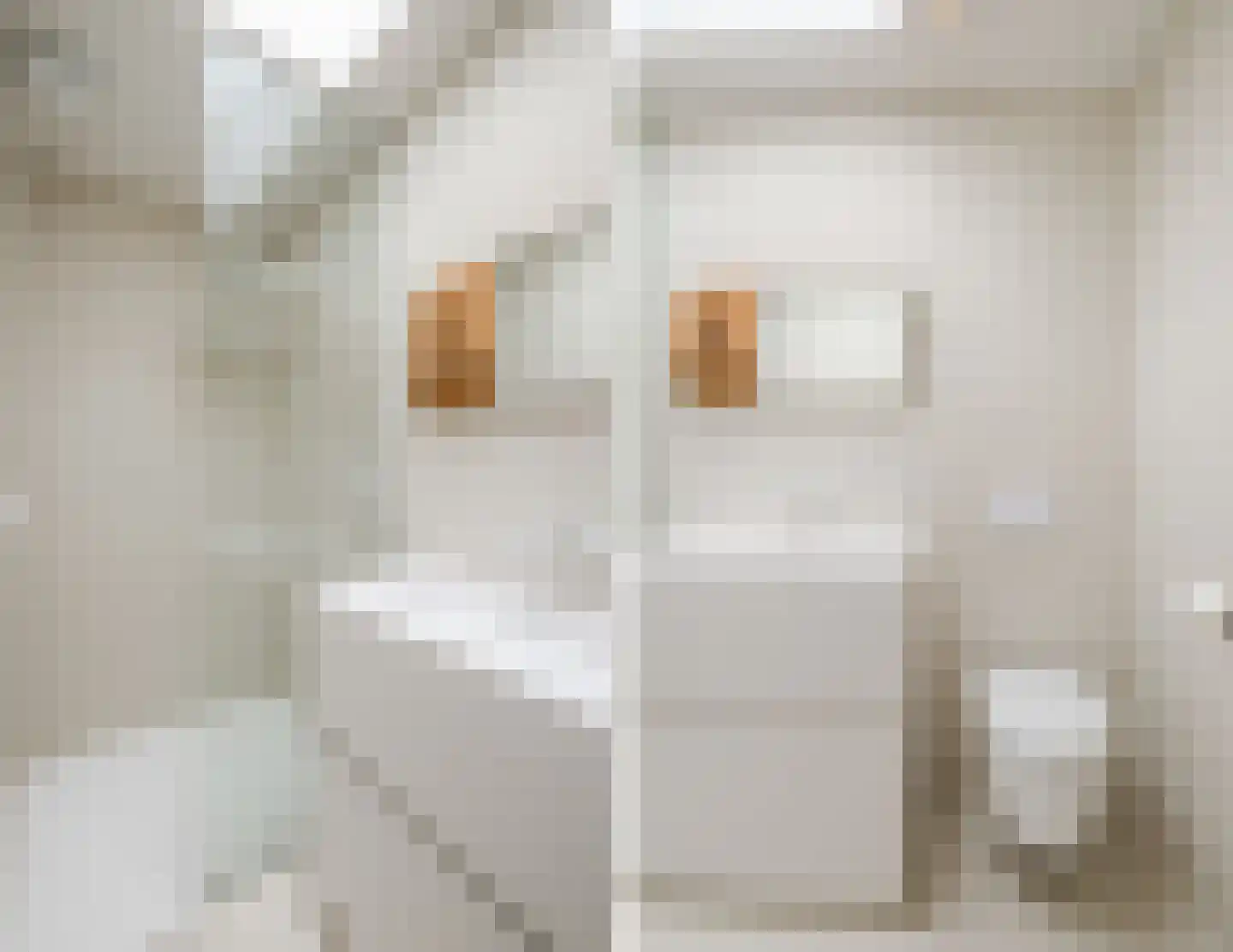 Koppenhoek 22 Eersel thumbnail 33