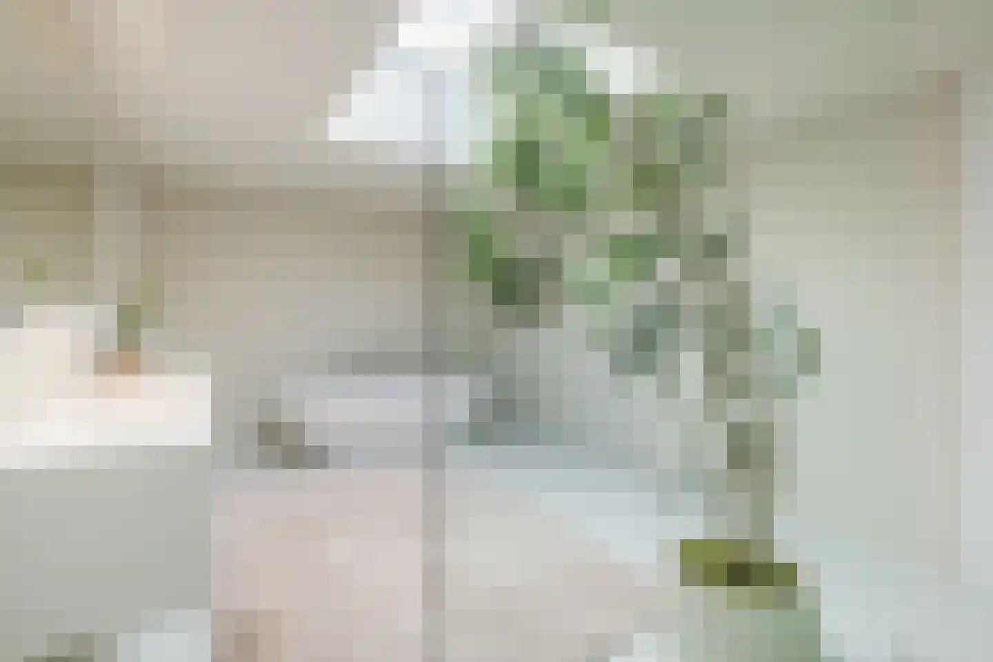 Koppenhoek 22 Eersel thumbnail 4