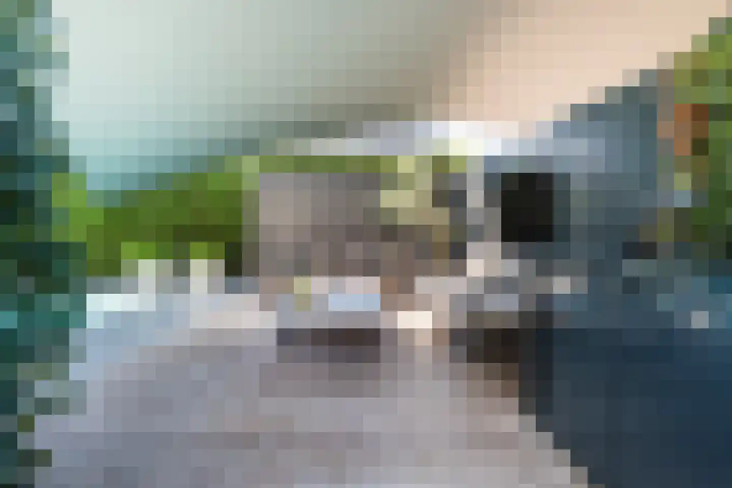 Koppenhoek 22 Eersel thumbnail 56