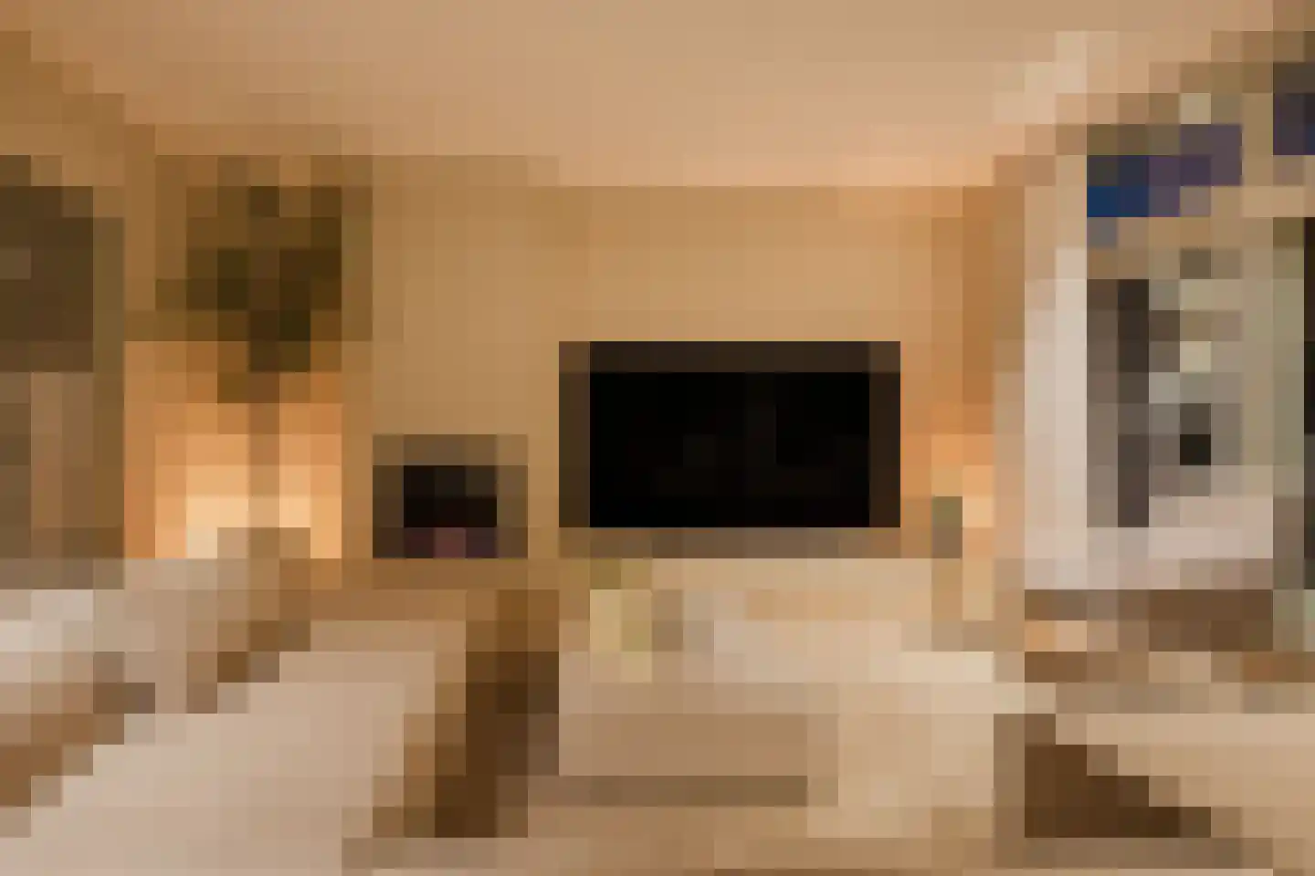 Koppenhoek 22 Eersel thumbnail 63