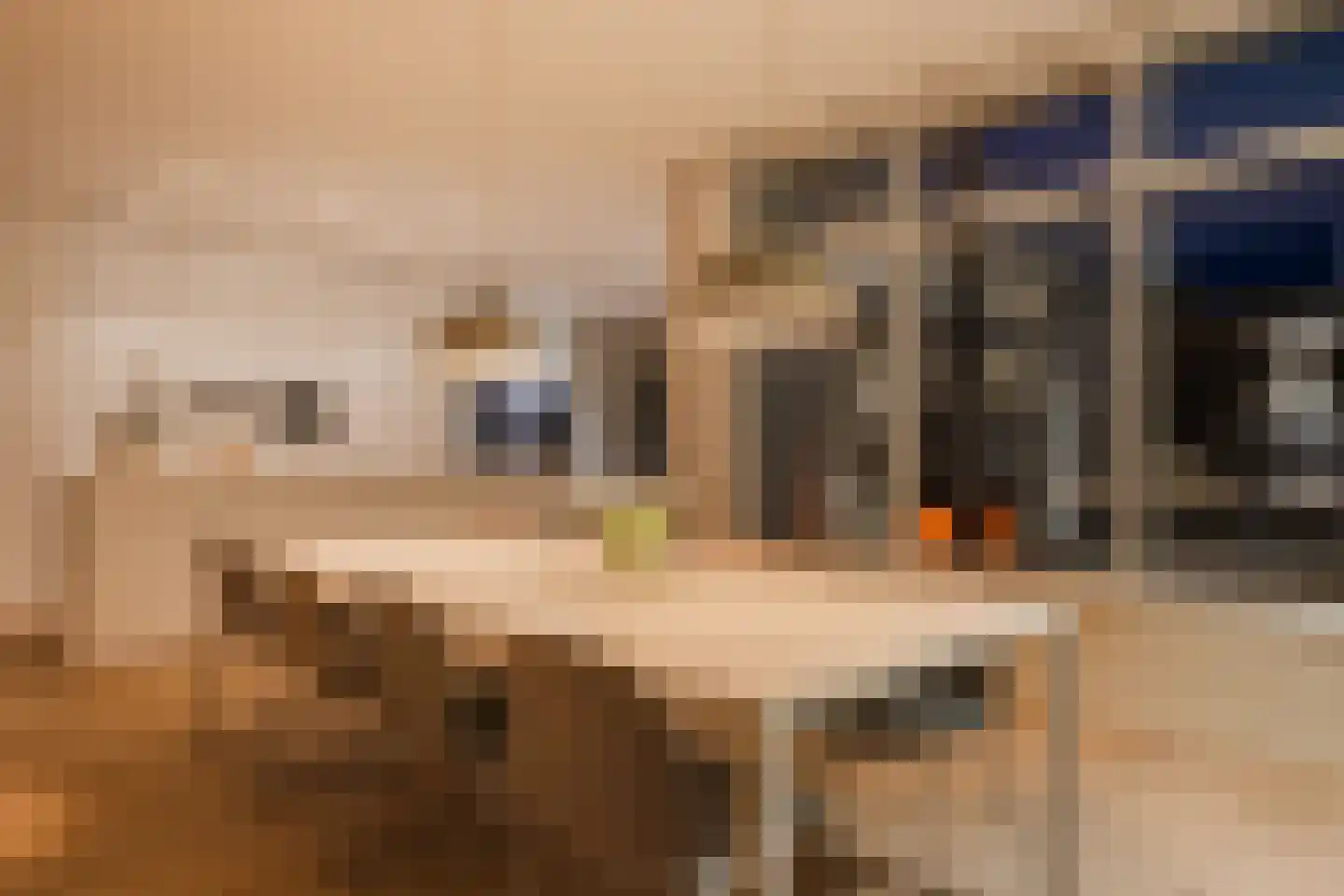 Koppenhoek 22 Eersel thumbnail 65