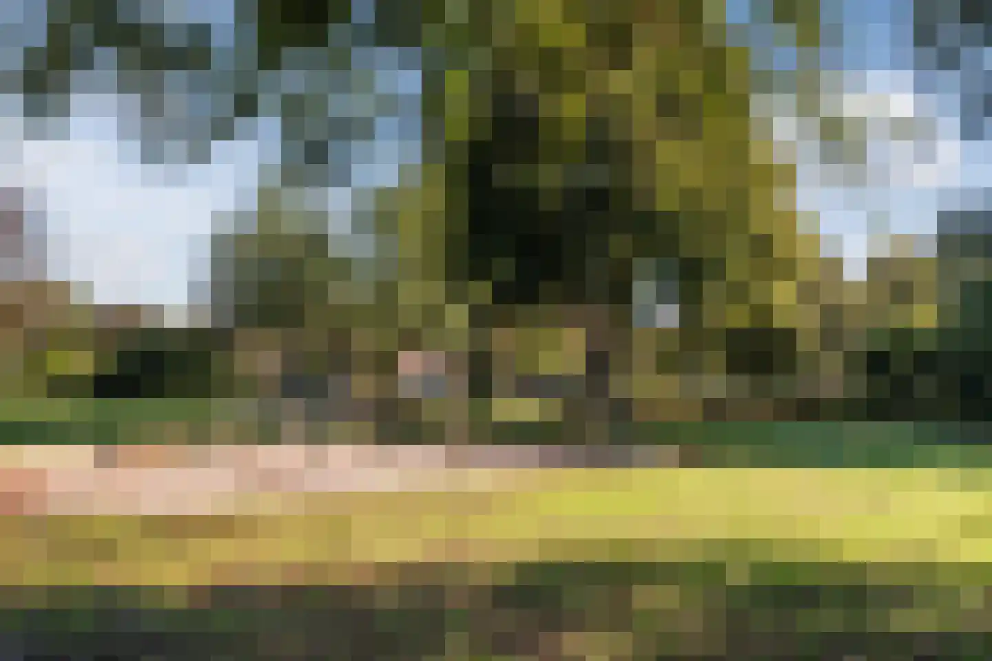 Koppenhoek 22 Eersel thumbnail 83