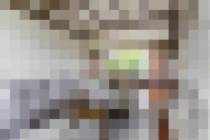 Koppenhoek 27 Eersel thumbnail 10