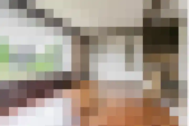 Koppenhoek 27 Eersel thumbnail 12