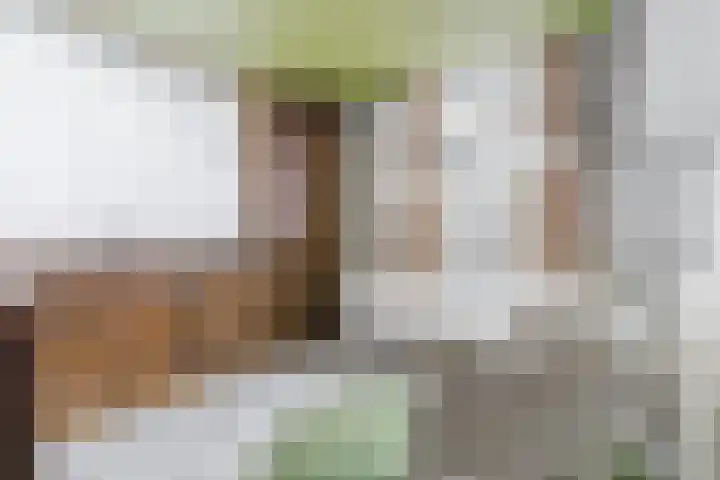 Koppenhoek 27 Eersel thumbnail 13