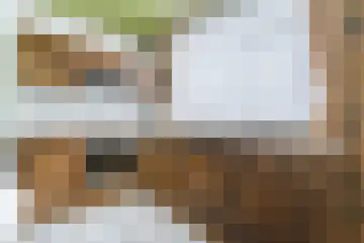 Koppenhoek 27 Eersel thumbnail 14