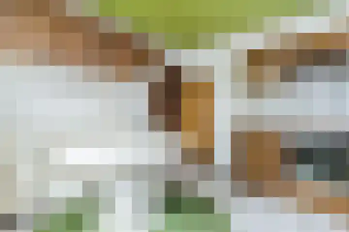 Koppenhoek 27 Eersel thumbnail 15