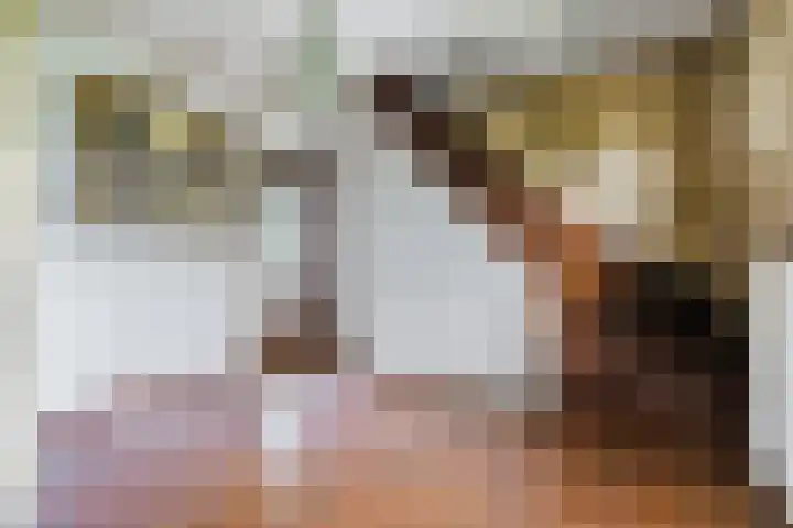 Koppenhoek 27 Eersel thumbnail 17
