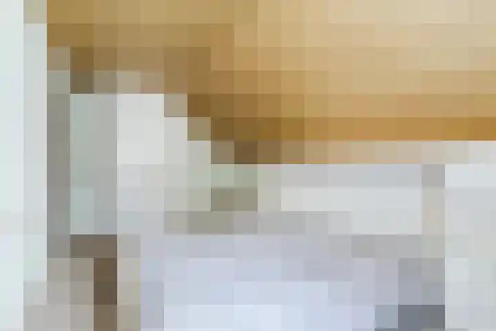 Koppenhoek 27 Eersel thumbnail 24