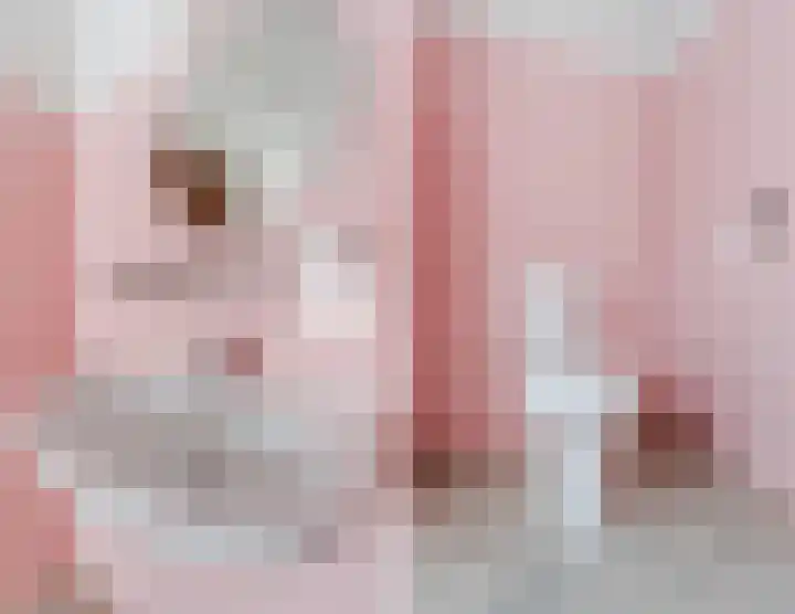 Koppenhoek 27 Eersel thumbnail 30