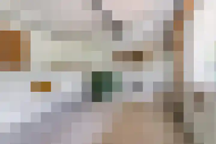 Koppenhoek 27 Eersel thumbnail 32