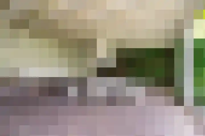 Koppenhoek 27 Eersel thumbnail 33