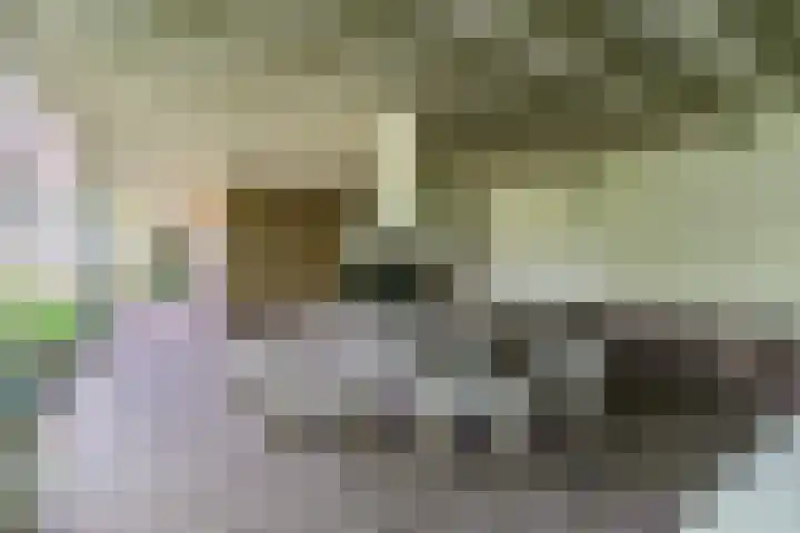Koppenhoek 27 Eersel thumbnail 34