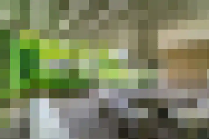 Koppenhoek 27 Eersel thumbnail 35