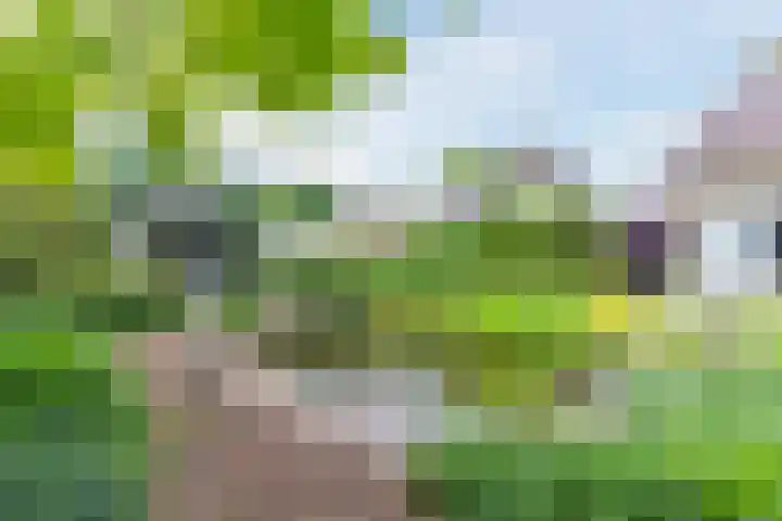 Koppenhoek 27 Eersel thumbnail 36