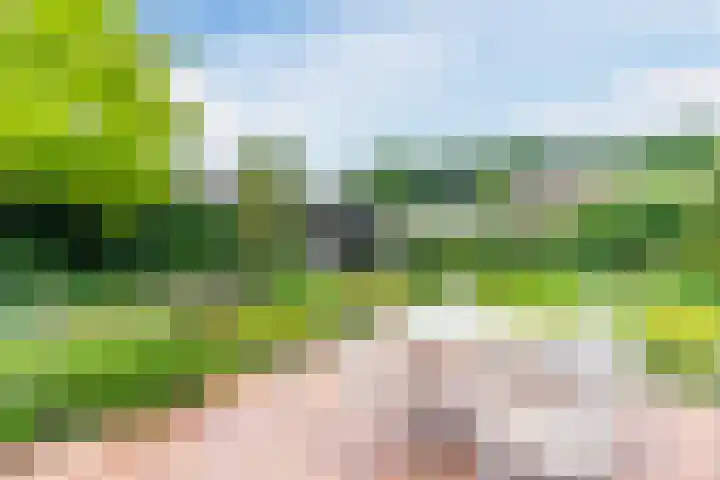 Koppenhoek 27 Eersel thumbnail 38
