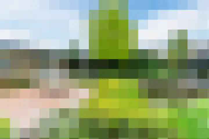 Koppenhoek 27 Eersel thumbnail 39