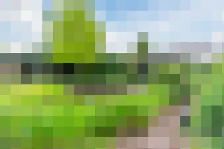 Koppenhoek 27 Eersel thumbnail 40