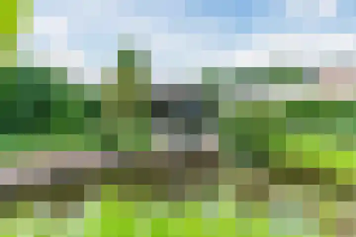 Koppenhoek 27 Eersel thumbnail 41