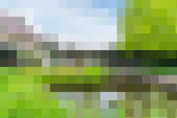 Koppenhoek 27 Eersel thumbnail 42